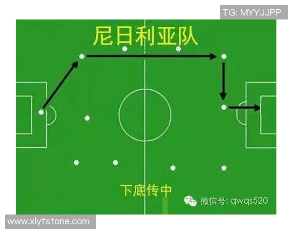 南京排球队在世界杯中的战术表现分析与总结