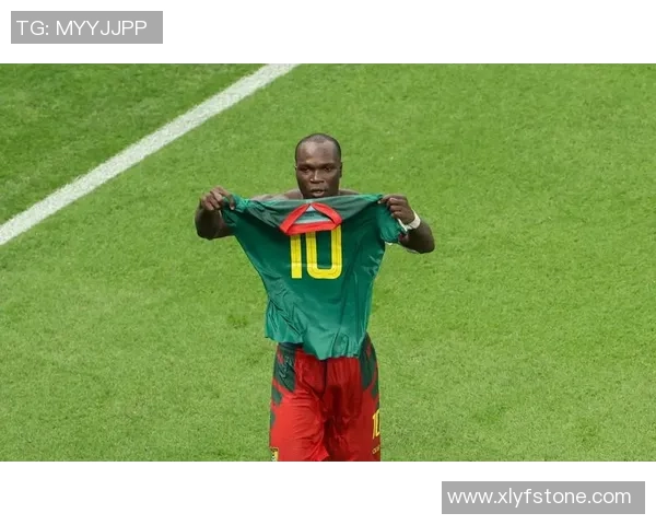 喀麦隆足球明星精彩表现赢得比赛胜利的精彩视频集锦