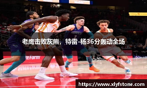 老鹰击败灰熊，特雷-杨36分轰动全场