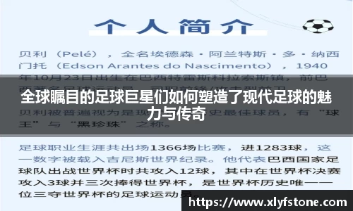 悟空·体育平台