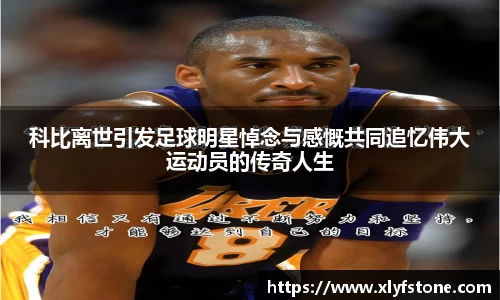 悟空·wukong体育