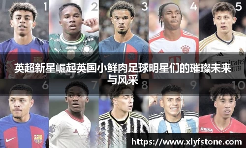 悟空·体育平台